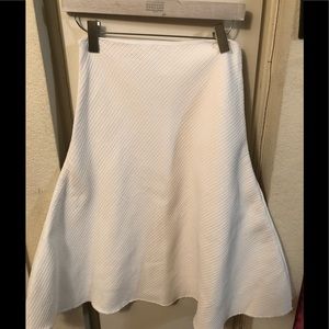 protagonist Trapeze Shape A Line Skirt Sz S